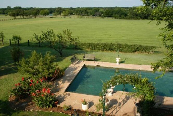 quel arbre a cote une piscine