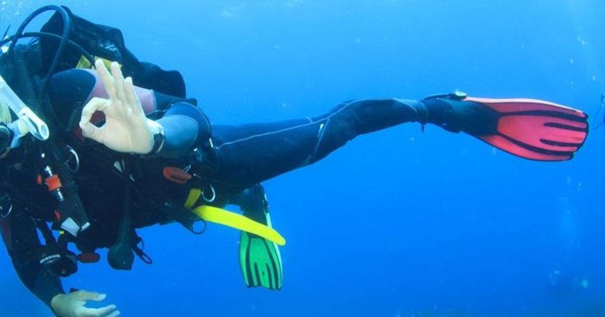 Les palmes de plongée spécificités et utilisation