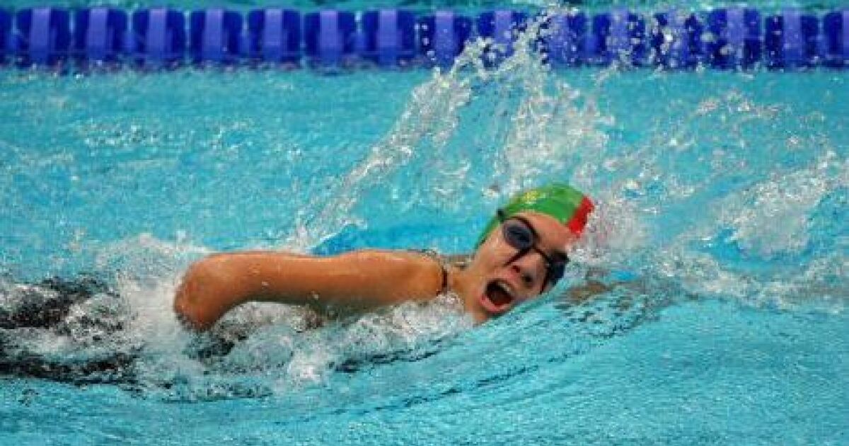 federation francaise natation