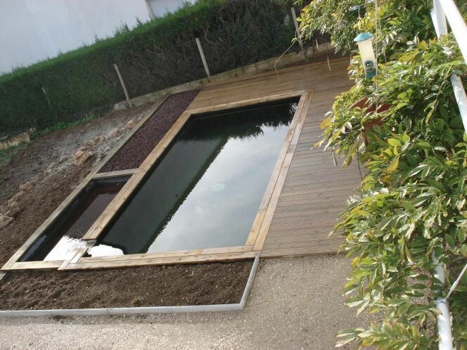 Construire un bassin à koi dans son jardin