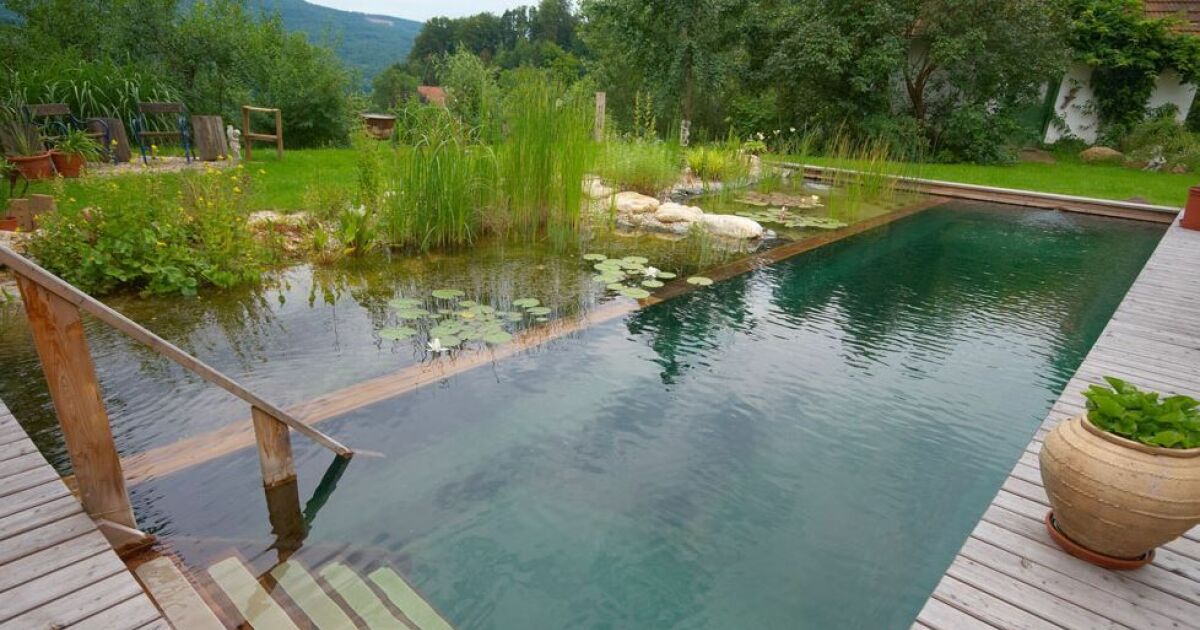 piscine-naturelle-un-bassin-bio-dans-votre-jardin-19247-1200-630.jpg