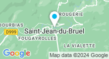 Plan Carte Plan d'eau de la Roque à Saint-Jean-du-Bruel