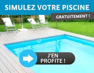 Testeur électronique de pH eau piscine et spa - CCEI - Pisicneco.fr