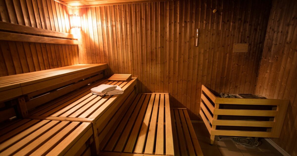 Tutustu 60+ imagen sauna acheter