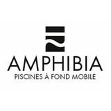 Amphibia