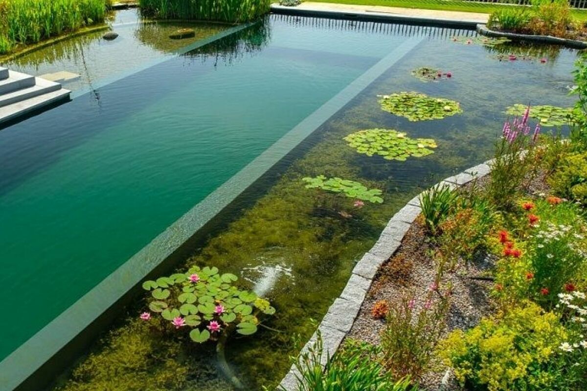 piscine naturelle