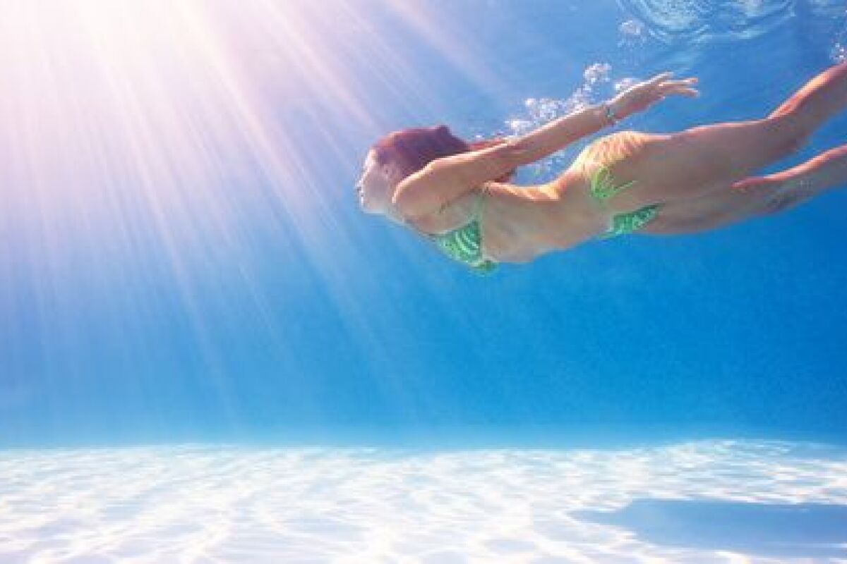 Attention Aux Vives Un Poisson De Plage Dangereux Guide Piscine Fr