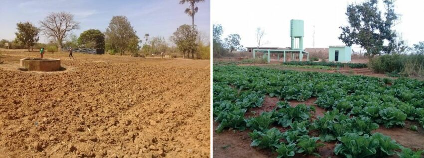 Avec le projet IrriSahel, Irrijardin s'engage pour développer l'irrigation des cultures au Sénégal&nbsp;&nbsp;