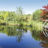 Bassin de nage Bassin de nage