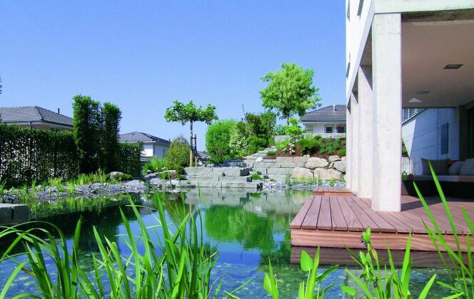 Bassin de baignade naturelle avec terrasse en bois BioTop © BIOTOP - www.baignade-ecologique.com