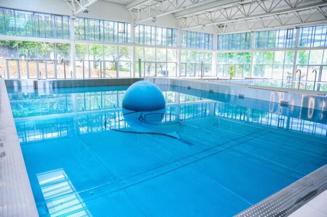 Centre Aquatique Piscine Les Nympheas De Noisy Le Grand Horaires Tarifs Et Telephone Guide Piscine Fr