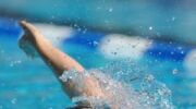 Les championnats d'Europe de natation