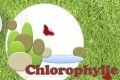 Chlorophylle à Presles