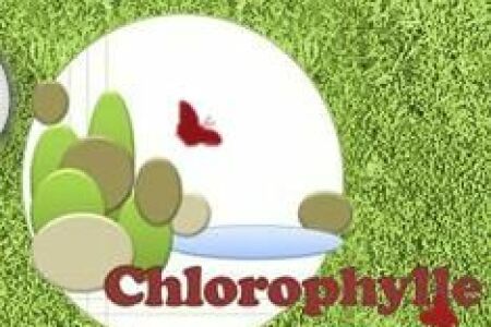 Chlorophylle à Presles