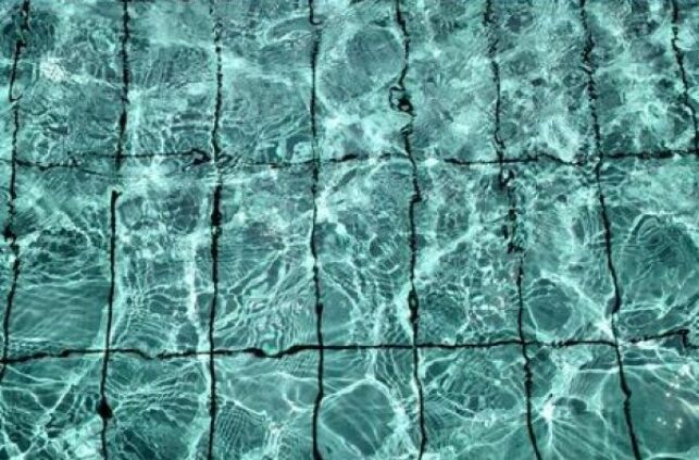 Comment éliminer les algues noires dans une piscine ?