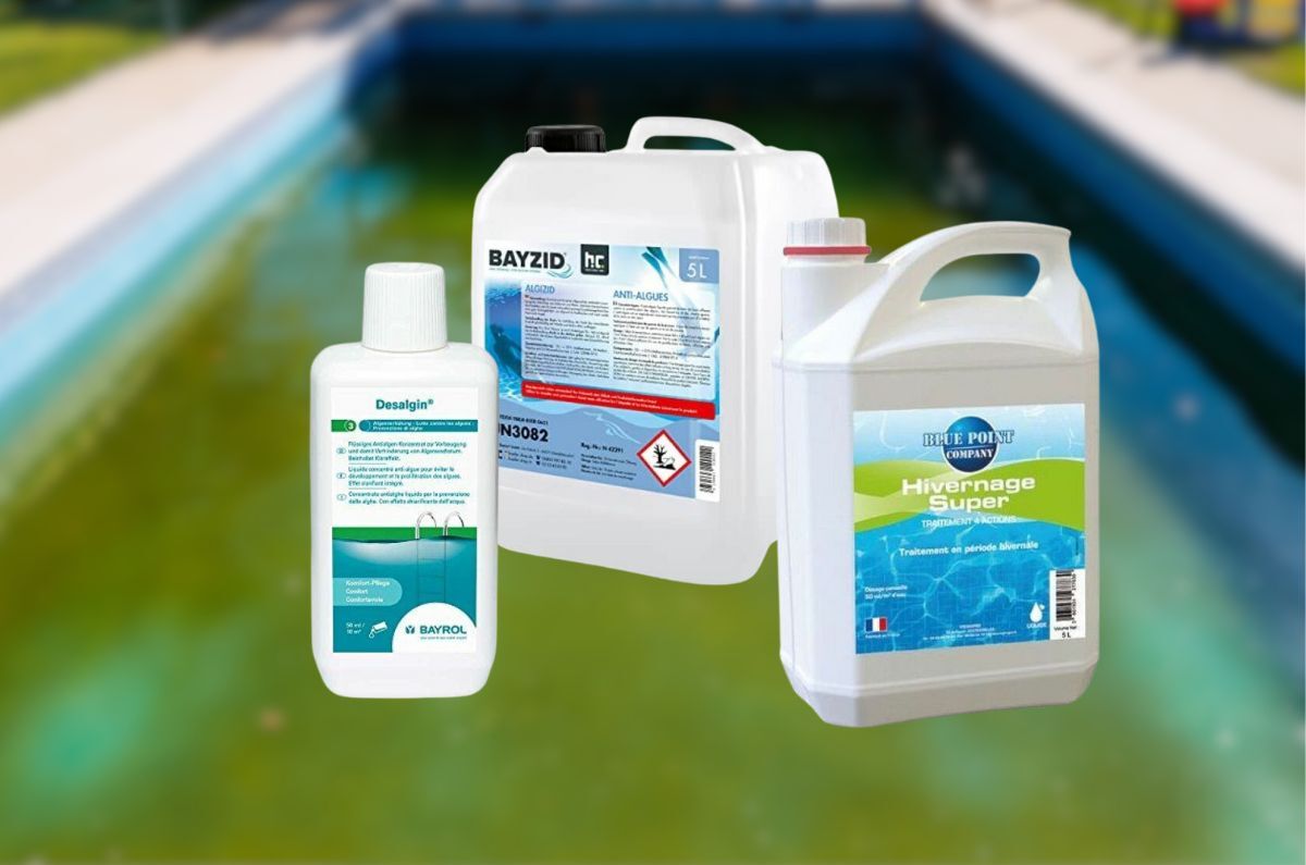 Attention aux algues dans votre piscine pour les beaux jours ! Comparatif anti-algues