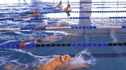 Compétition de natation 