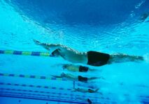 Séance type pour la reprise en natation