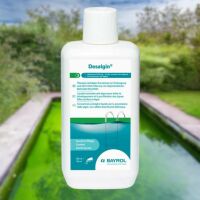 Un traitement anti-algues efficace pour votre piscine avec le traitement Desalgin par Bayrol&nbsp;!
