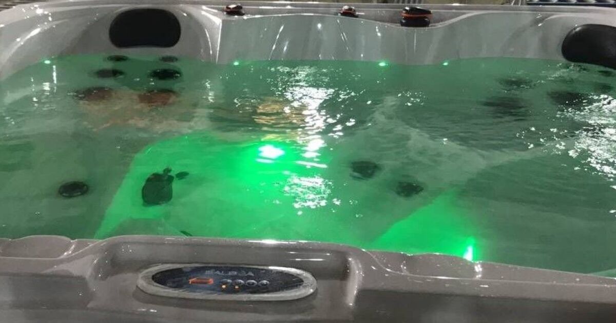 Devenir revendeur Blue Lagoon Spas