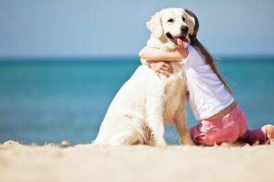 Emmener votre chien à la plage