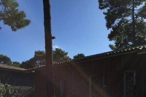 Espace Bleu et Bois (Wood-Line Piscines) au Taillan-Médoc