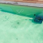 Est-il dangereux de se baigner dans une piscine verte / trouble&nbsp;?