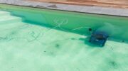 Est-il dangereux de se baigner dans une piscine verte / trouble ?