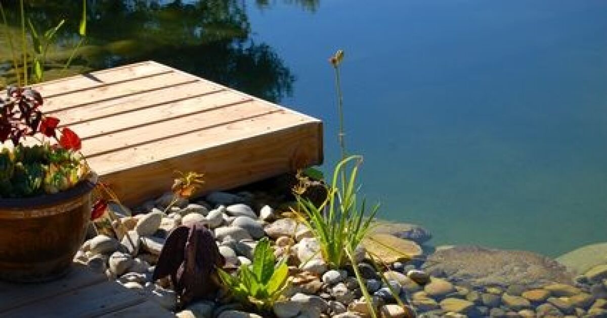 L’autoconstruction d’une piscine naturelle — free download