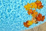 Votre piscine en automne, avec Bayrol