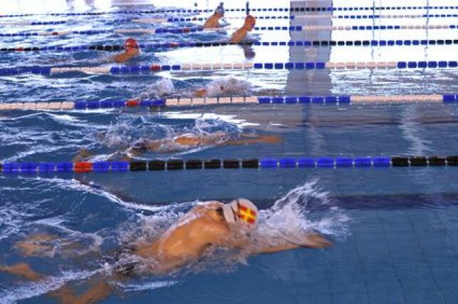 La méthode everybodyswim en natation