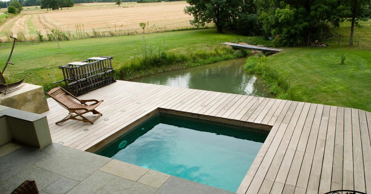 piscine bois petit jardin