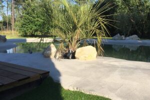 lagon béton quartz résiné cocotier jardin verdure 