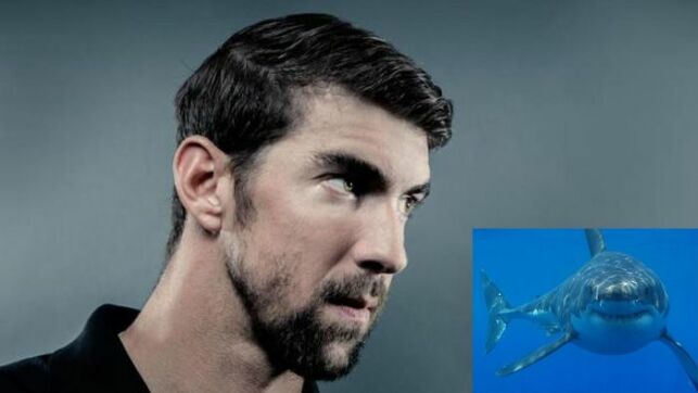 Le champion olympique de natation affrontera un grand requin blanc.
