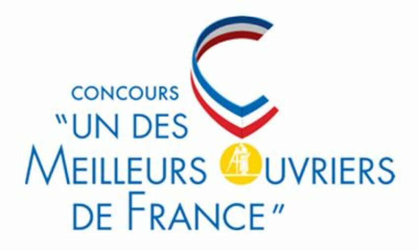 Le concours de meilleur ouvrier de France possède une catégorie destinée aux professionnels de la piscine.&nbsp;&nbsp;