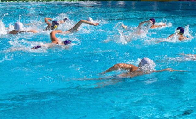 Le déroulement des épreuves de natation handisport.