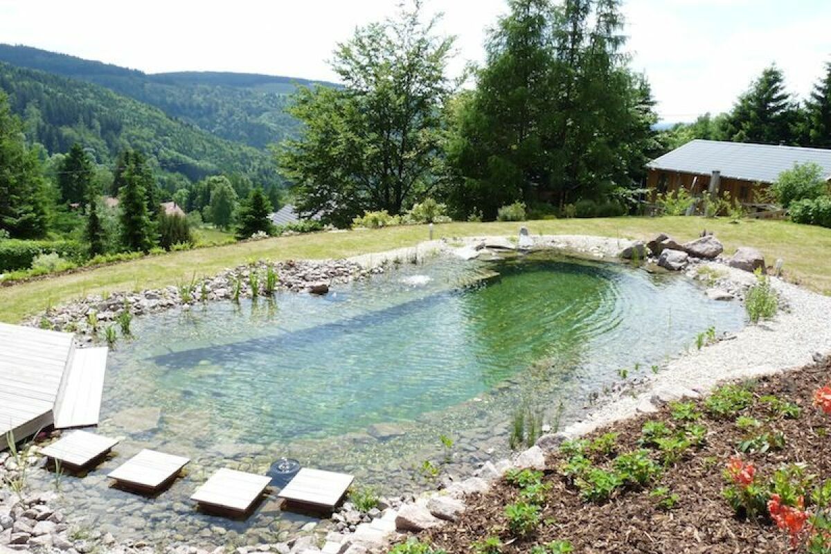 Parcours de l&#39;eau dans une piscine naturelle - Guide-Piscine.fr