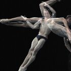 Le plongeon acrobatique-artistique : un sport de haut niveau