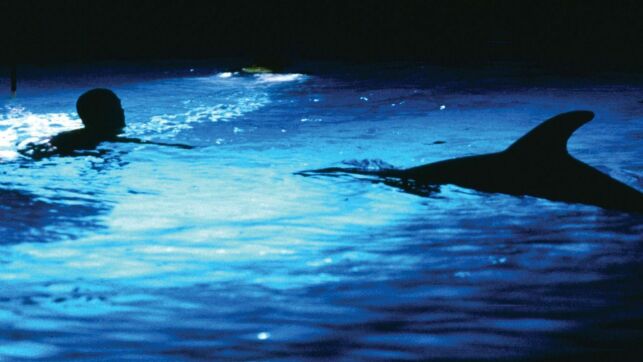 Le plongeur Enrico Maiorca, a inspiré le film du "Grand Bleu".