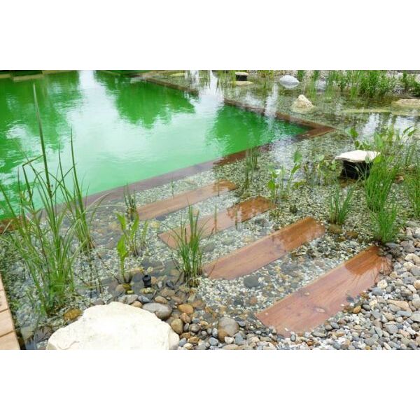 Prix Et Tarifs Dune Piscine Naturelle Biologique