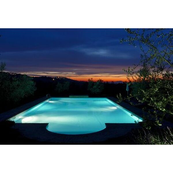 le projecteur de piscine  4466 600 600 F