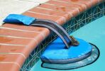 FrogLog : une invention américaine sauve les grenouilles des piscines&nbsp;!
