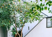 Le travertin pour une terrasse de piscine