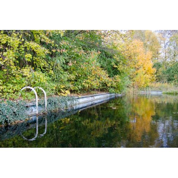 Bâche En Epdm Un Revêtement Pour Le Bassin De La Piscine