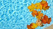 Vent et piscine