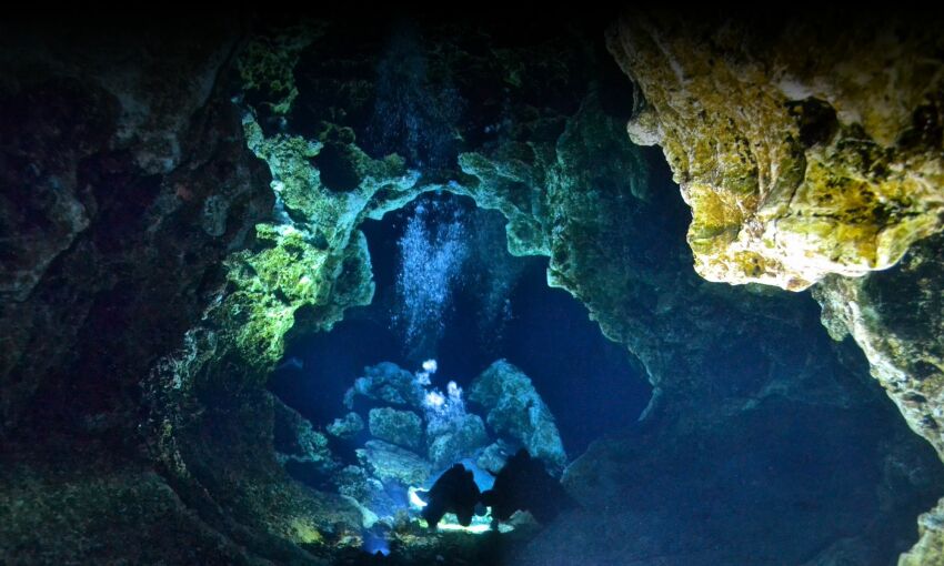 Les eaux cristallines de Ginnie Springs&nbsp;&nbsp;