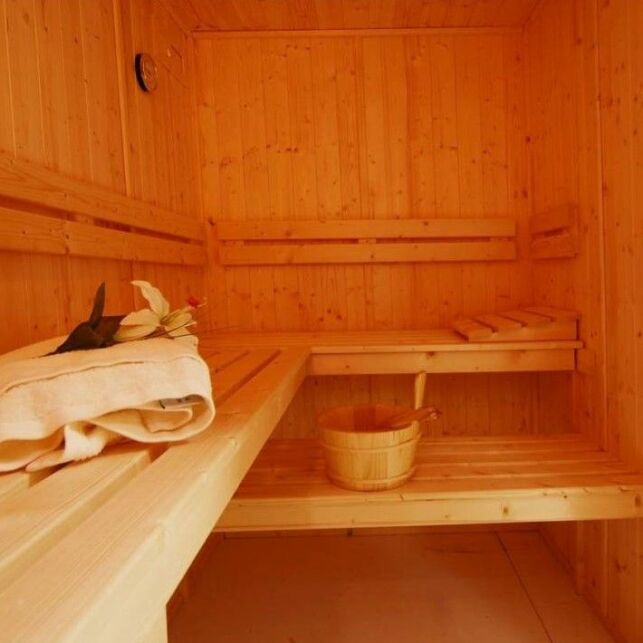 Un sauna vapeur multifonction