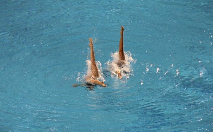 Open du Japon World Series FINA Open du Japon World Series FINA