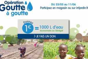 Faciliter l’accès à l’eau au Sénégal avec Irrijardin