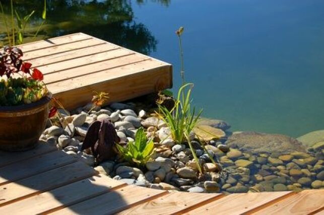 Petite piscine naturelle